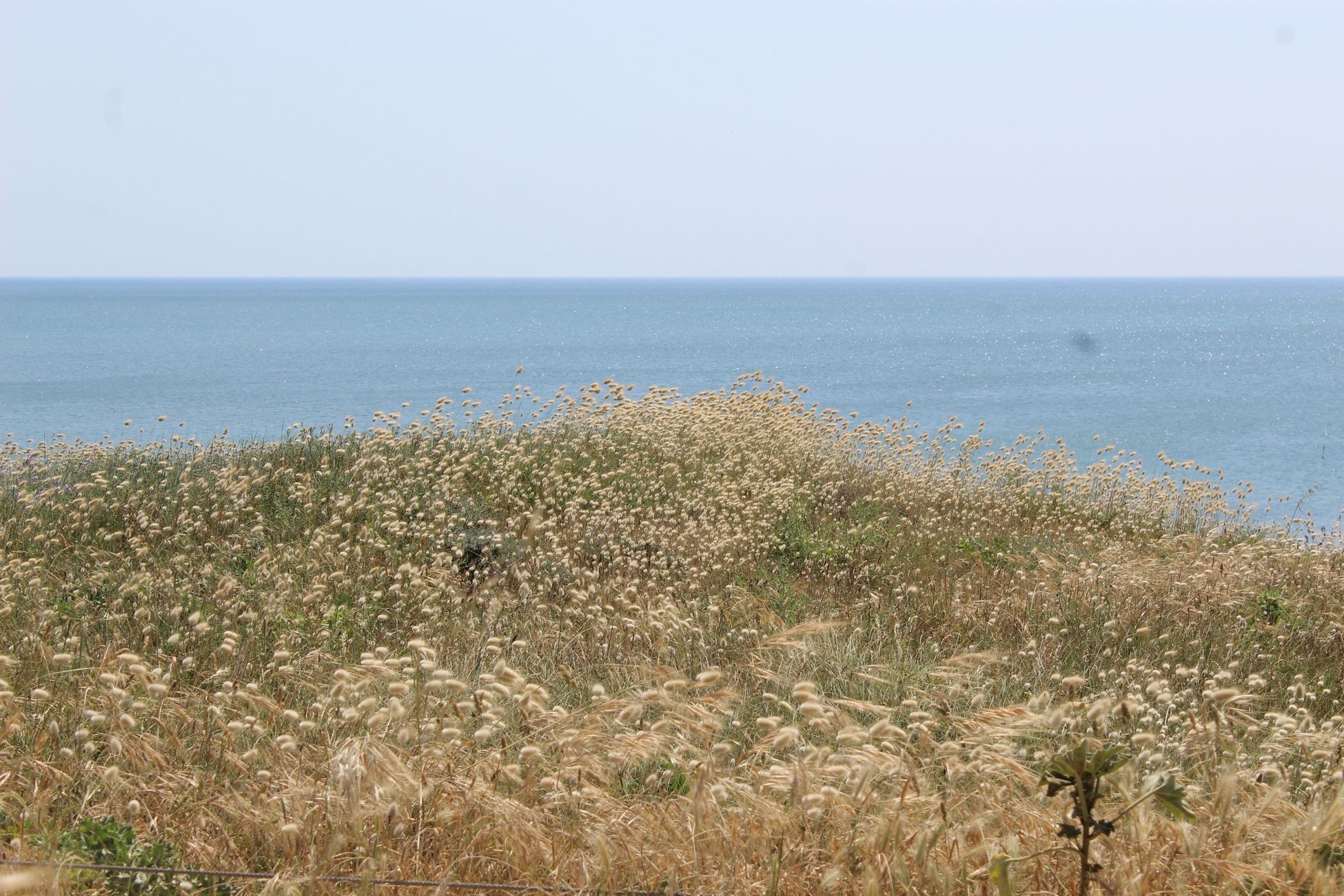 MA MAISON SUR LA COTE, AGENCE IMMOBILIERE SAINT GILLES CROIX DE VIE, ACHAT VENTE LOCATION VACANCES SAINT GILLES CROIX DE VIE SAINT HILAIRE DE RIEZ.JPG